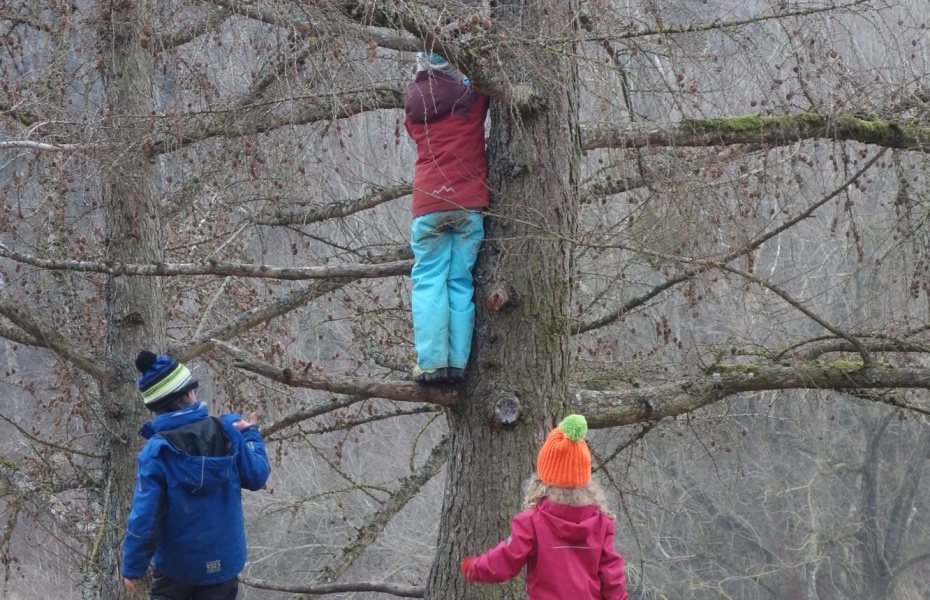 Auf Baum kletternde Kinder