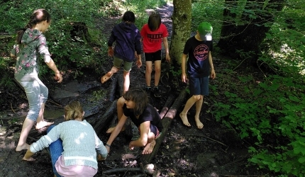 Sechs Kinder forschend auf matschigem Waldweg